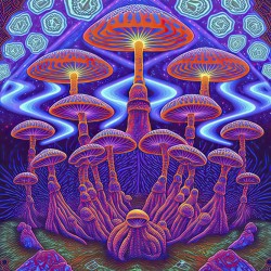 fluorescent mushrooms