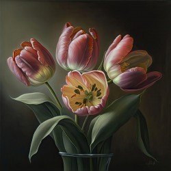 tulips flowers II