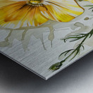 Yellow flowers 2 Metal print