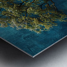 Red Door Metal print