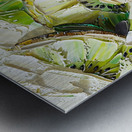slices kiwi Metal print