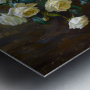 White roses Metal print