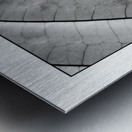 Skeleton Leaf  Metal print