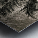 Palm Gray Metal print