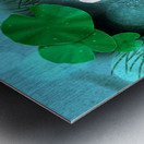 Goldfish II Metal print