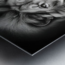 Leon face Metal print