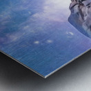 Sky of Lights Metal print