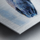 Bird in Water Metal print