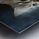 Cat Live Maine Coon Metal print