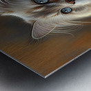 Cat Ragamuffin Metal print