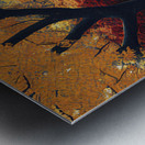 house in autumn Metal print