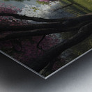 Lake view in spring Metal print