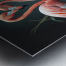 flamingos at night Metal print