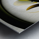 net attract Metal print