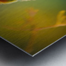 two in love Metal print