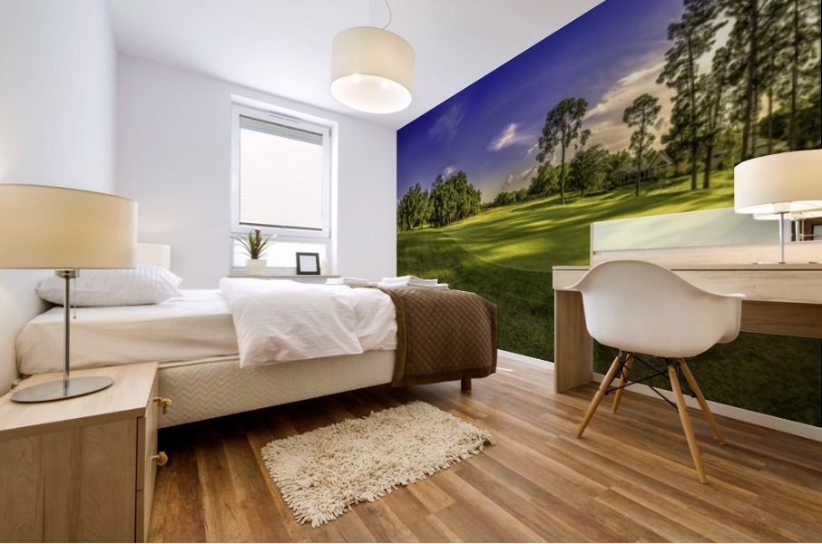 FLORIDA GOLF COURT Mural print