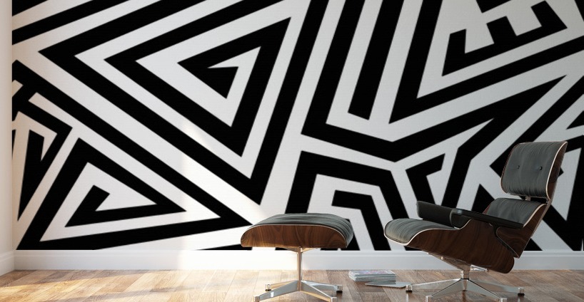 LINES E BW Wall Murals
