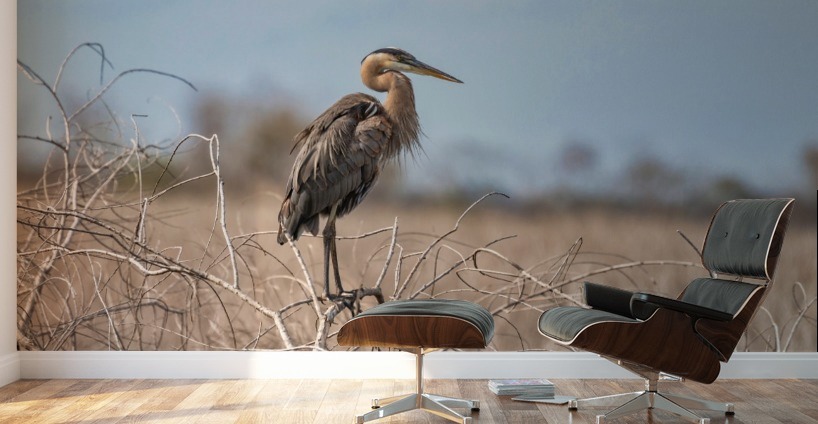 Winter is Here Wall Murals