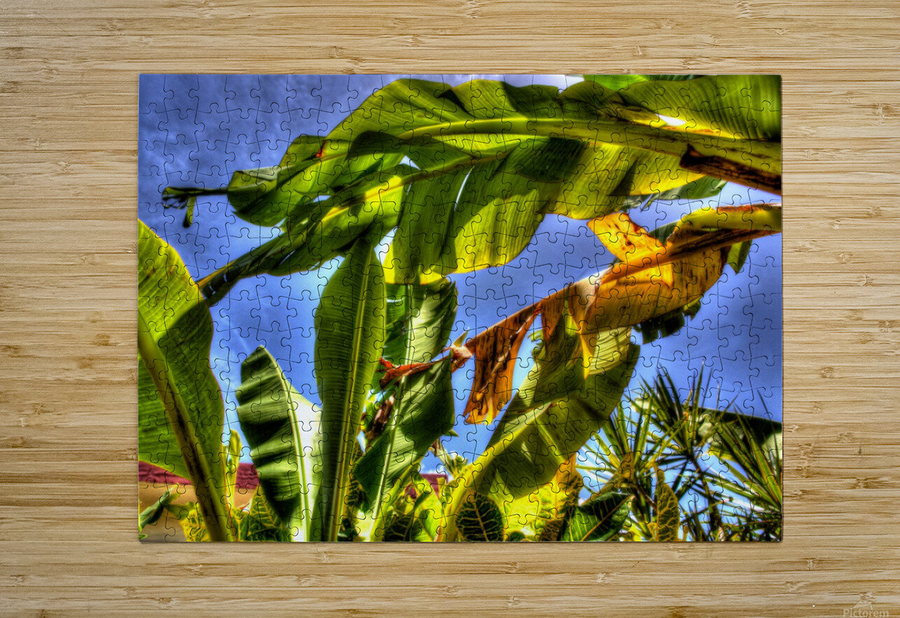 PLATANAL George Bloise Puzzle printing