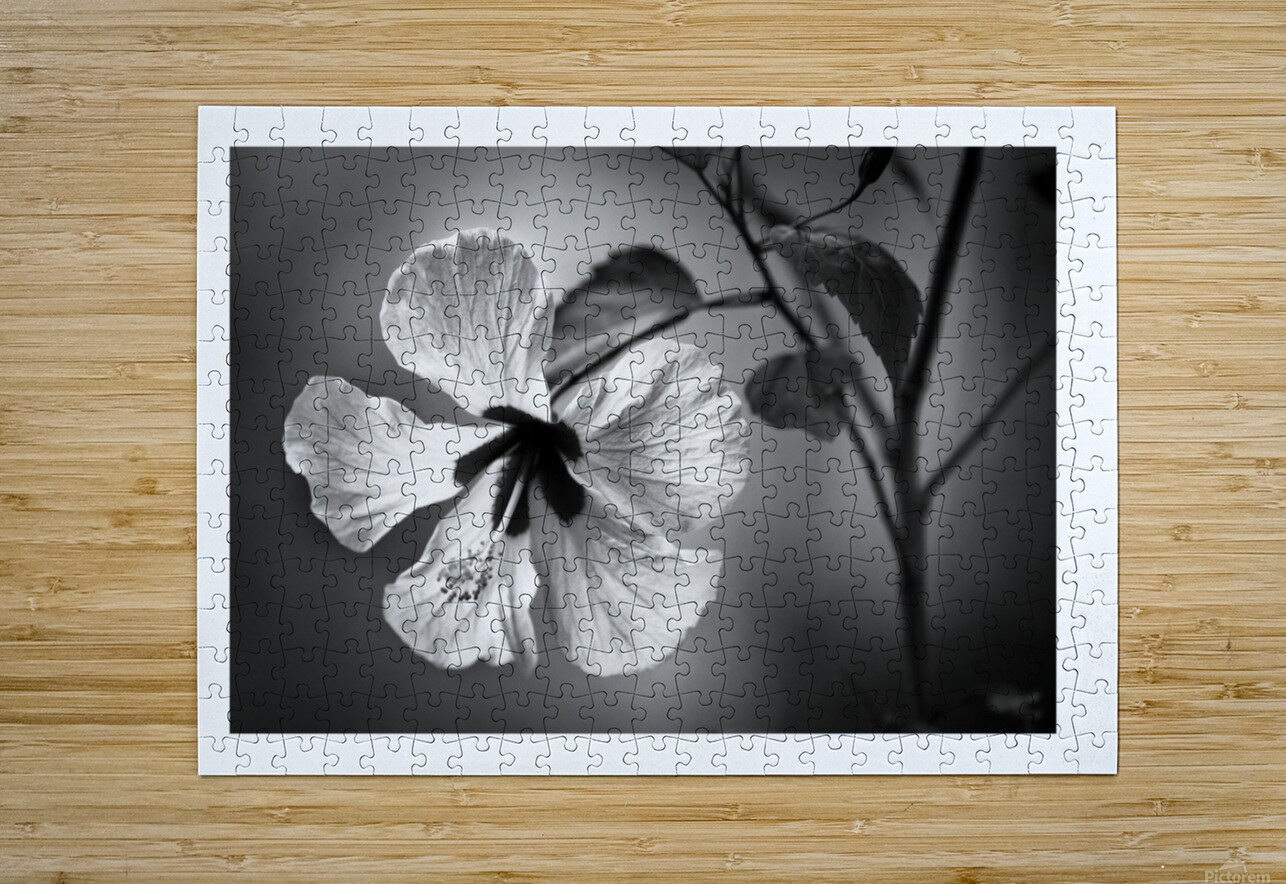 White Sin George Bloise Puzzle printing