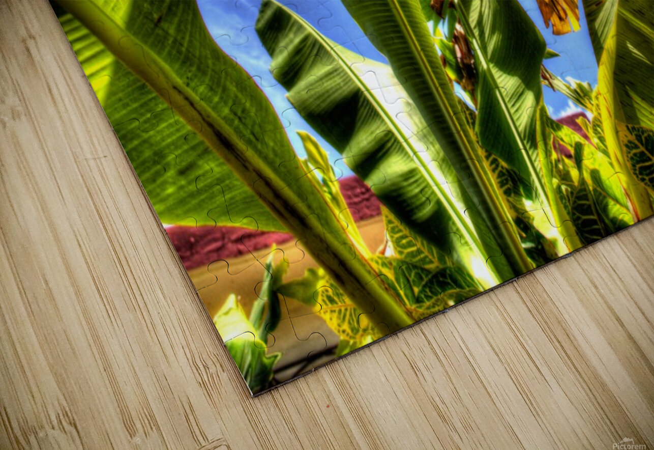 PLATANAL George Bloise Puzzle