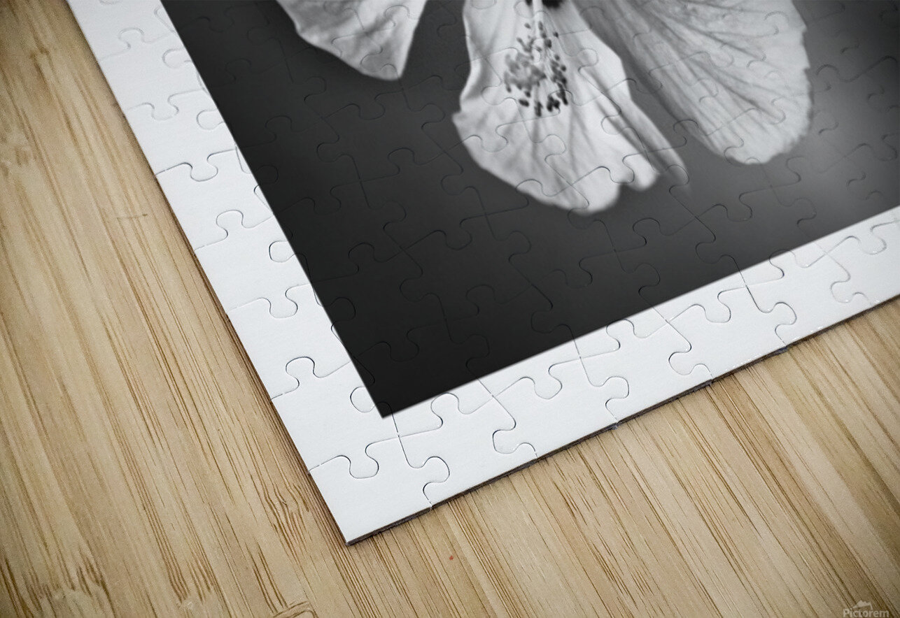 White Sin George Bloise Puzzle