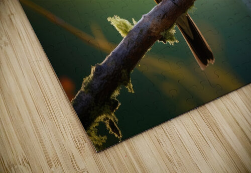 two in love George Bloise puzzle