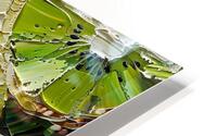 slices kiwi HD Metal print
