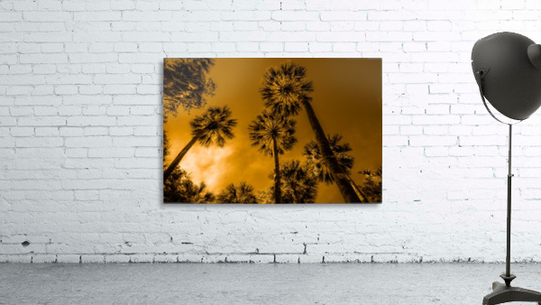 Palms to heaven Wall Preview