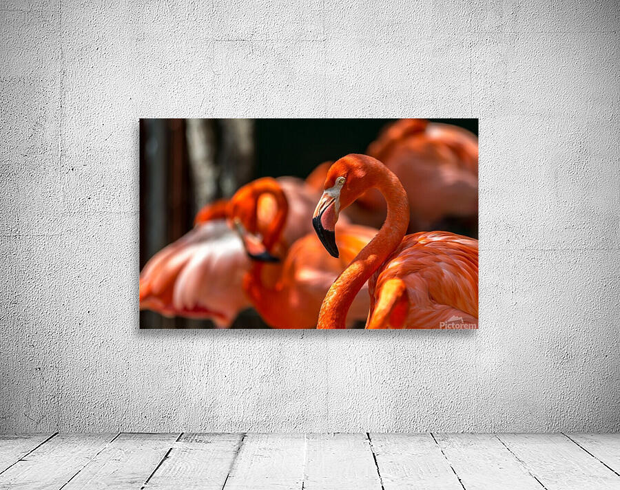 flamingo family Wall Preview