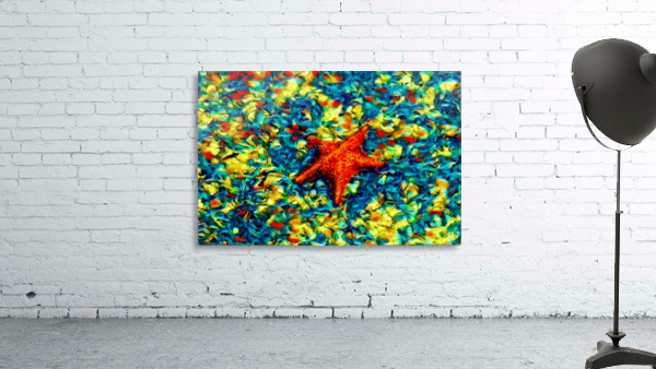 Ocean Life Wall Preview