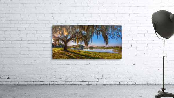 FLORIDA LAKE Wall Preview