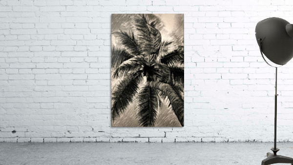 Palm Gray Wall Preview