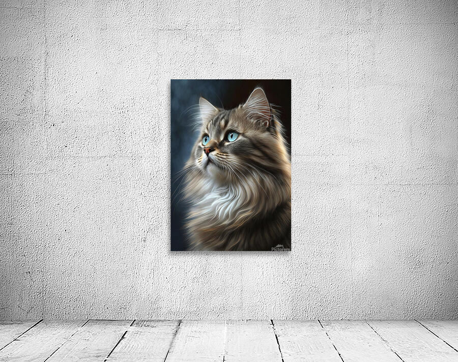 Cat Live Maine Coon Wall Preview