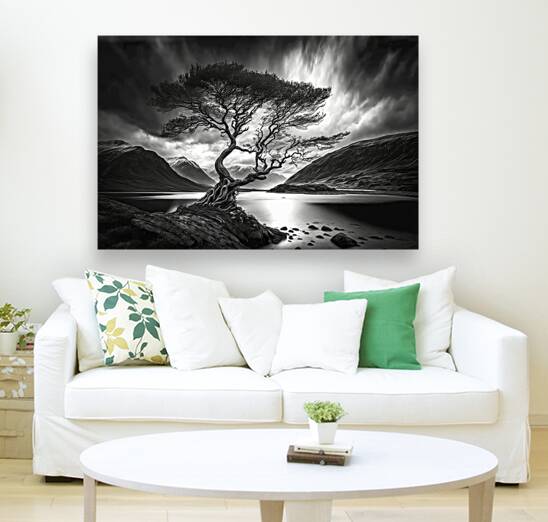 black and white sunset Reproduction